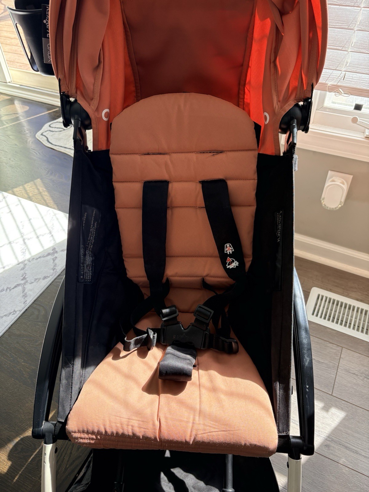 BABYZEN YOYO+ Peach Buggy Stroller with Cup Holder, Five-point Harness