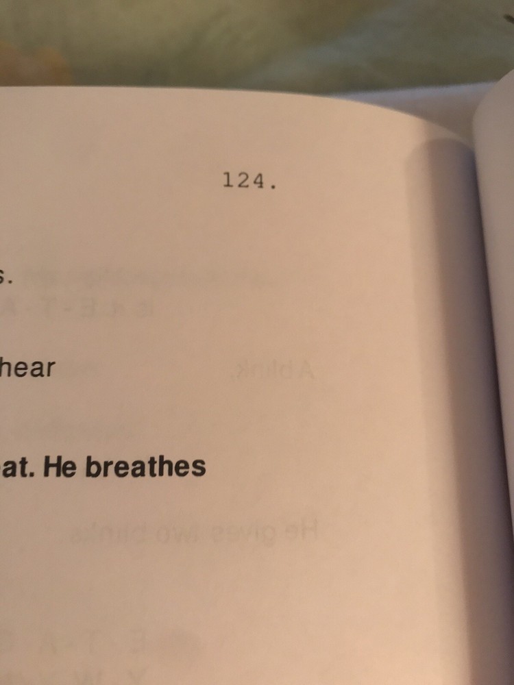 The Diving Bell and The Butterfly screenplay/ script