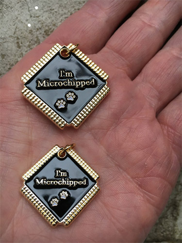 Pet Dog Cat Engraved ID Identification Emergency Tags