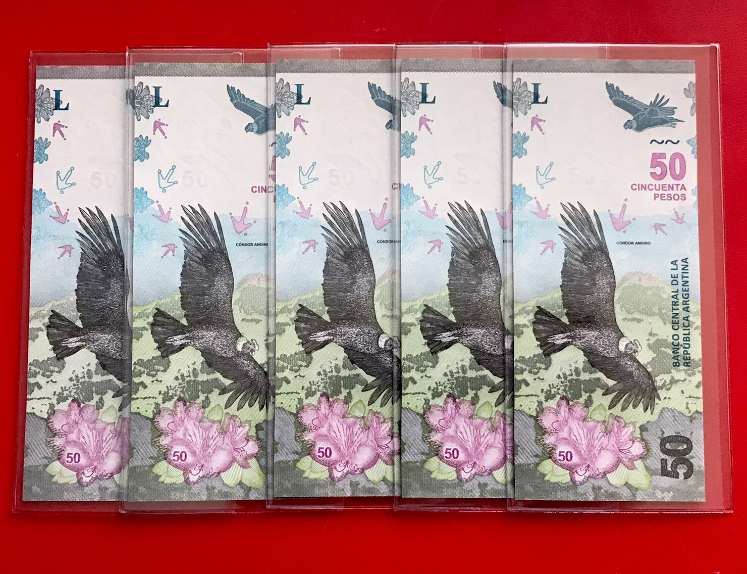 New Argentina, 50 Pesos CONDOR (2018-2020 ) P-363, B-Series ,Uncirculated