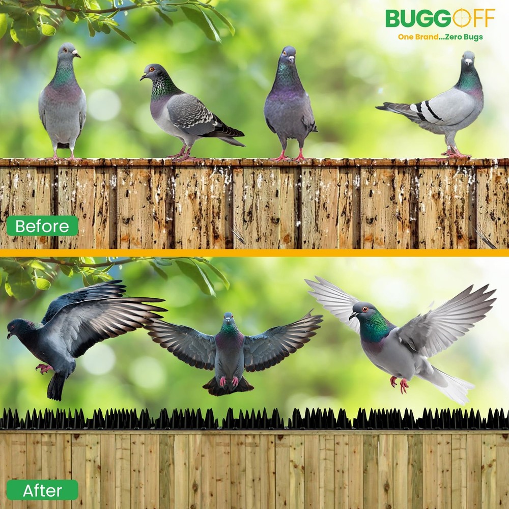 BUGGOFF - White Bird & Rodent Spikes, Unique Spike Pattern effecitviely deter...