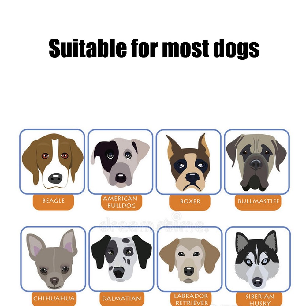 Special Needs Dog Alert Hang Tags Nervous Dog Patch Special Needs -D Patch