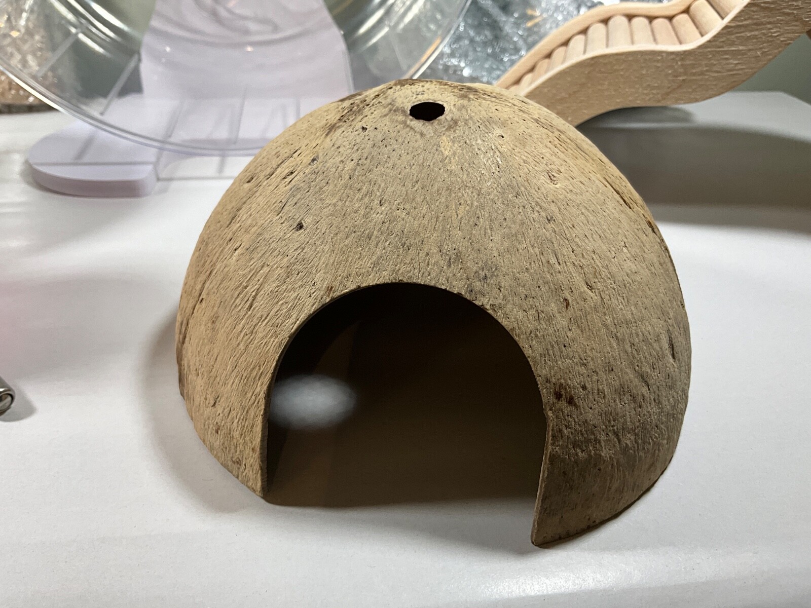 Hamster Wheel Set: Water Feeder, Coconut, Bathtub, Bridge, Rosee Blanche Ceramic