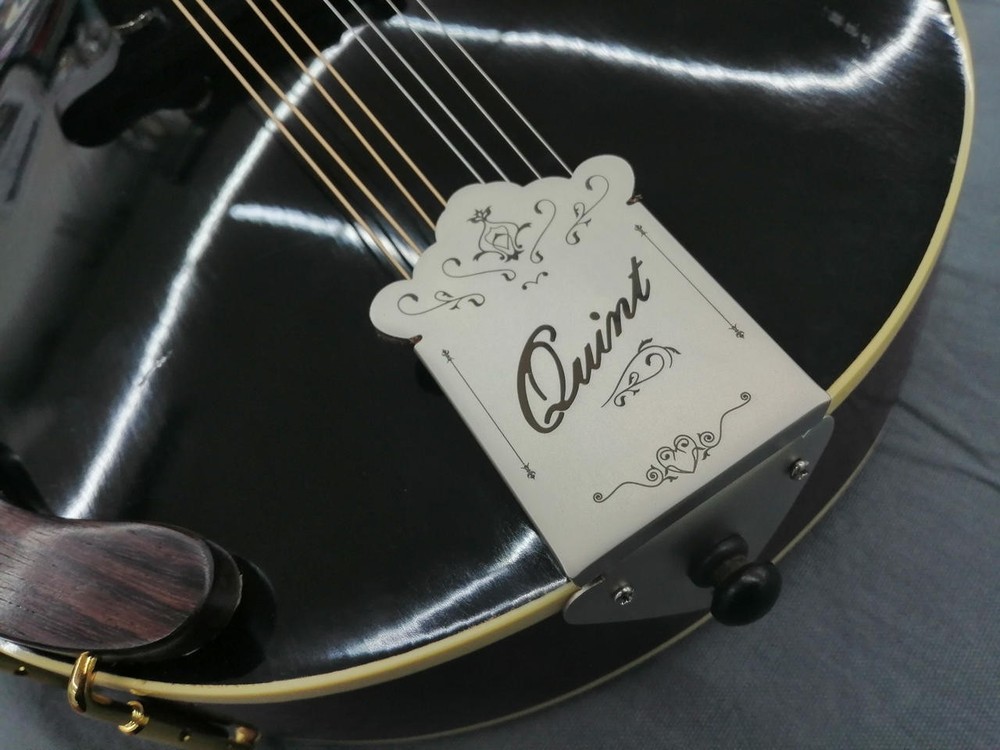 QUINT QT-A4 Flat Mandolin