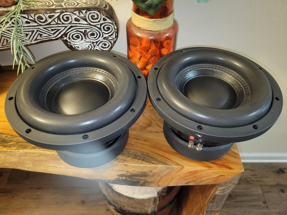 Zeming Audio 10in High Excursion Subwoofers (Open Box Alibaba Subs)