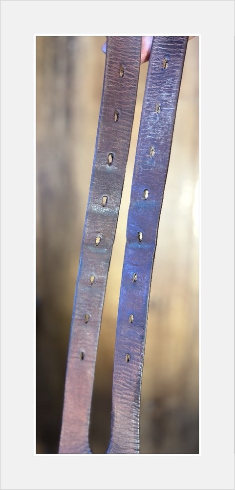 Voltaire Essential jump Saddle. 17.5” Interchangeable