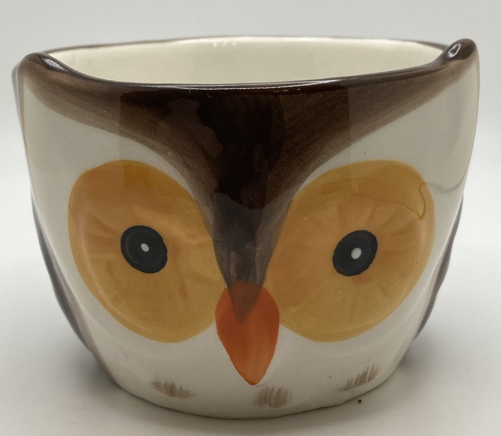 Owl Ceramic Ramekin Cookware Baking Novelty Preowned