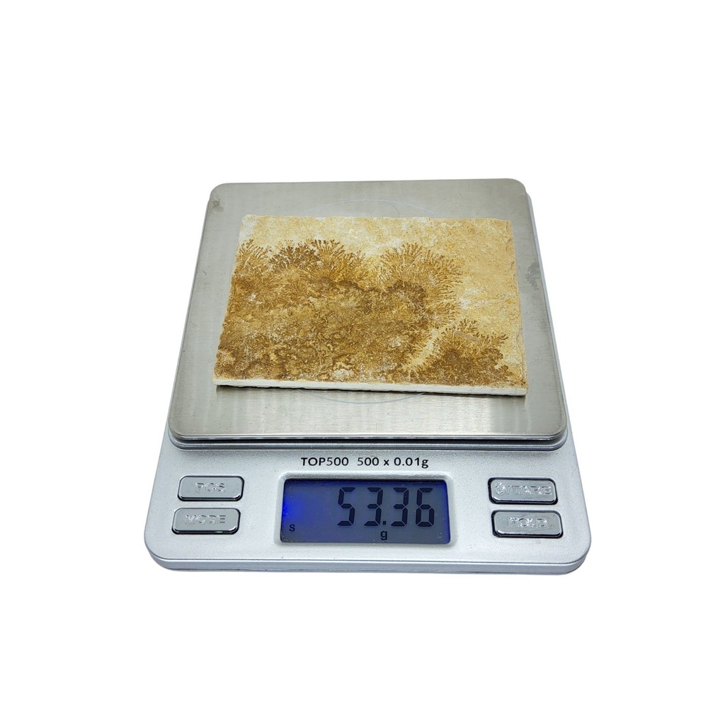 Dendritic Limestone, slab, cabbing rough, lapidary, #R-7046