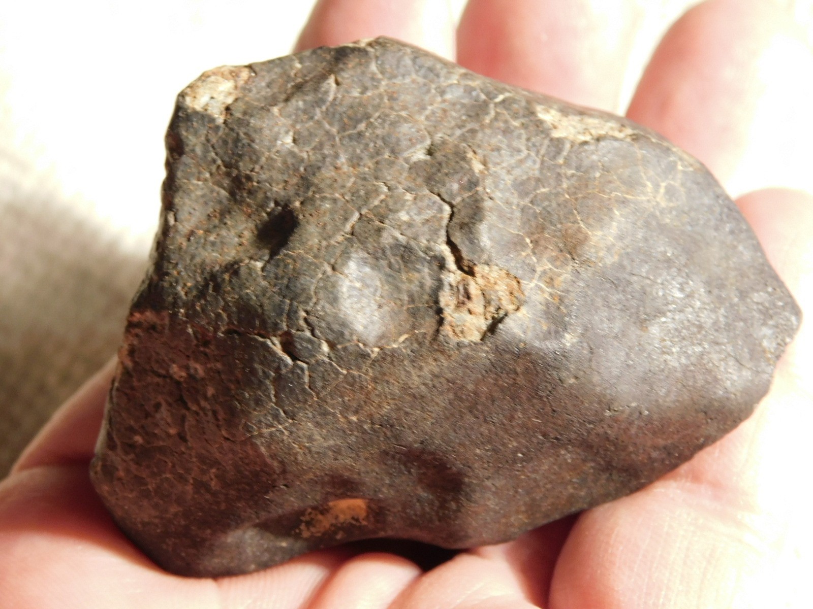 H6 Stony METEORITE Regmaglypts DARK Fusion Crust and Contraction CRACKS! 178gr