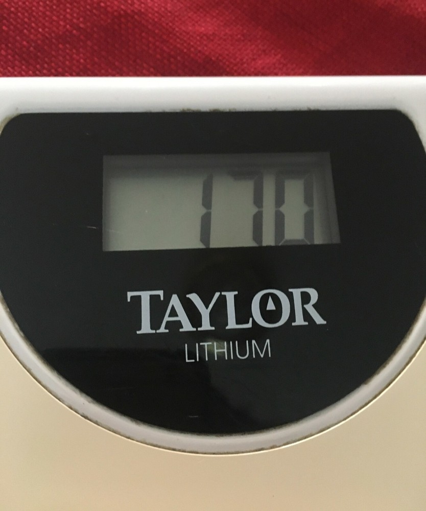 Taylor Lithium Electronic Scale