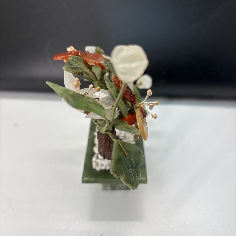 Curved Chinese Jade Tree