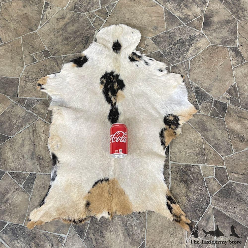 #25317 E+ | Goat Hide Taxidermy Skin