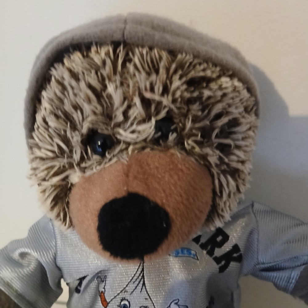 Hershey Park bear from 2015