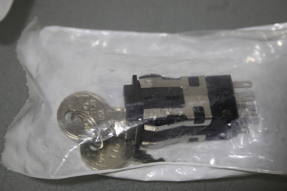 3XKey Switch, Double Pole Double Throw (DPDT)(C5877-R13)