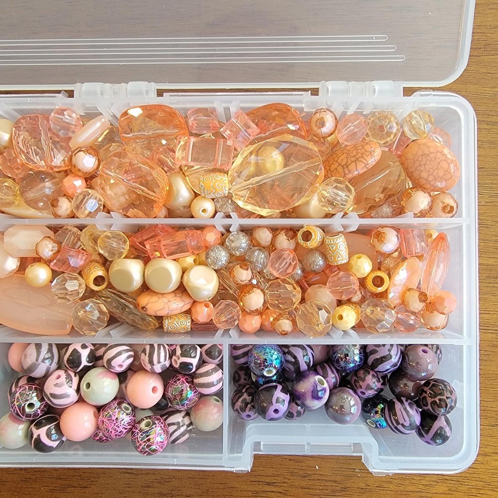 Assorted Bead Collection in Organizer Box (SR220)