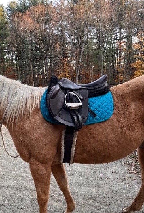 HDR jump saddle