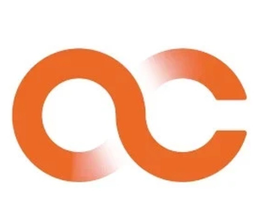 Economy Delivery Orange connex Japan Additional shipping cost 8