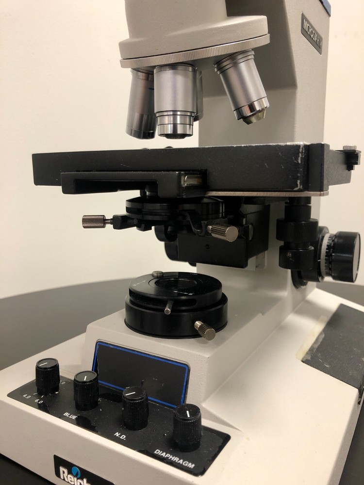 Reichert Microstar IV Series Model 410 Compound Microscope
