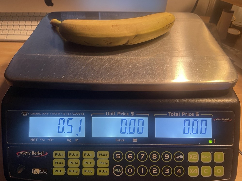 Avery Berkel Scale Model FX 50 (30lb) Tested