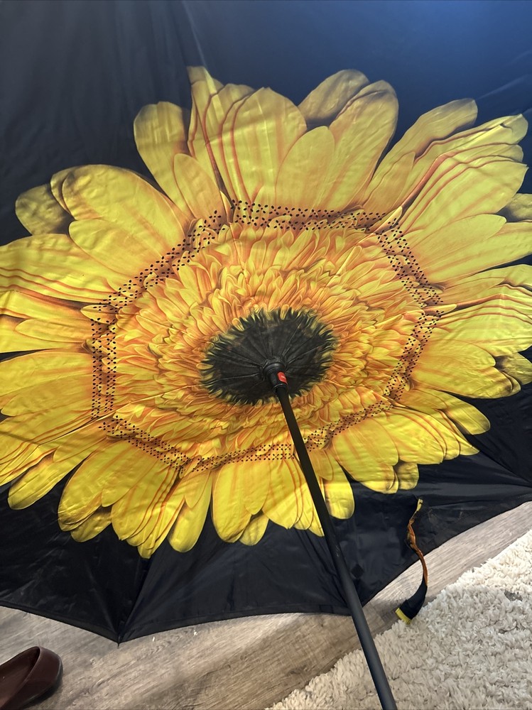 2-BAGAIL Double Layer Inverted Umbrellas Reverse Folding Umbrella Windproof UV