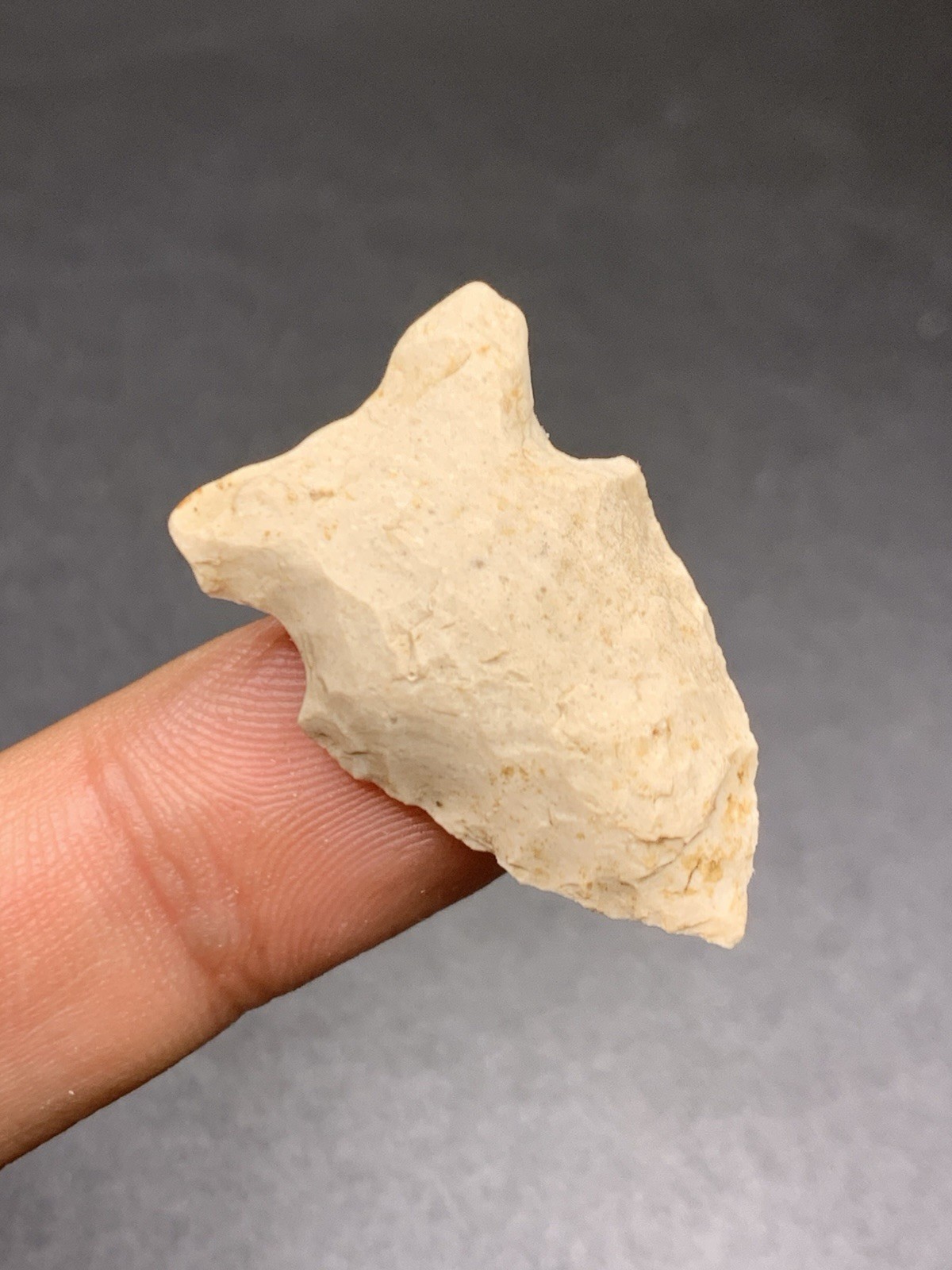 Authentic Archaic Side Notch Arrowhead From Knox Co Indiana 1 1/4 Inch Vinciness