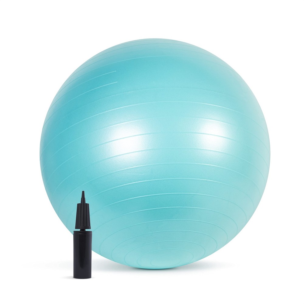 65cm Stability Exercise Ball for Core Strength and Balance Training