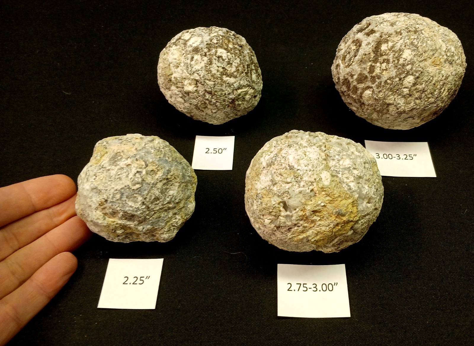 Whole Guaranteed Hollow Mexican Trancas Chihuahua Quartz Geodes, Fluorescent!