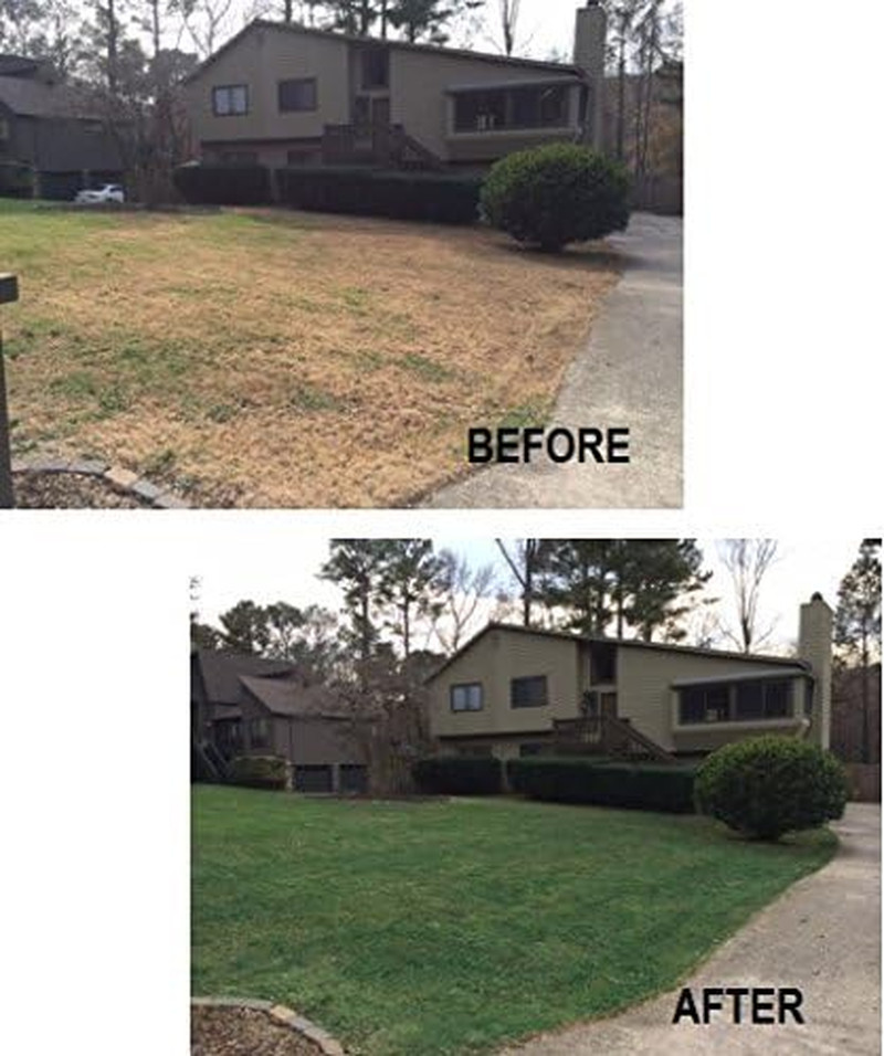 Nvirocolor 4Evergreen Grass Colorant/Turf Paint – 32 Oz Concentrate Covers 1,000