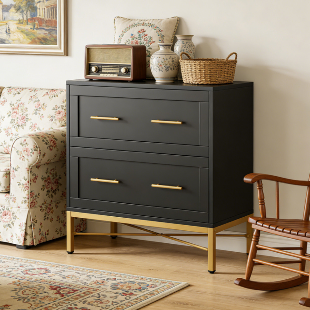 File Cabinet Two-drawer Cabinet Black