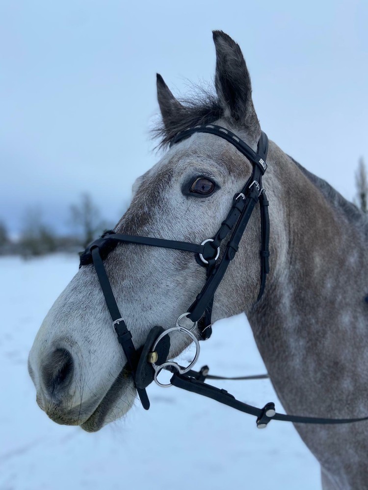 Universal 3 Ring Gag Verbindend Angled Bit (UKSALES25®) *SAME DAY DISPATCH*