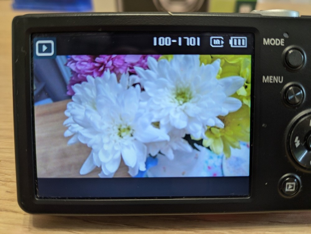 Samsung Digital Camera PL221 16.0MP Red Tested - Boxed with Charging Cable, Case