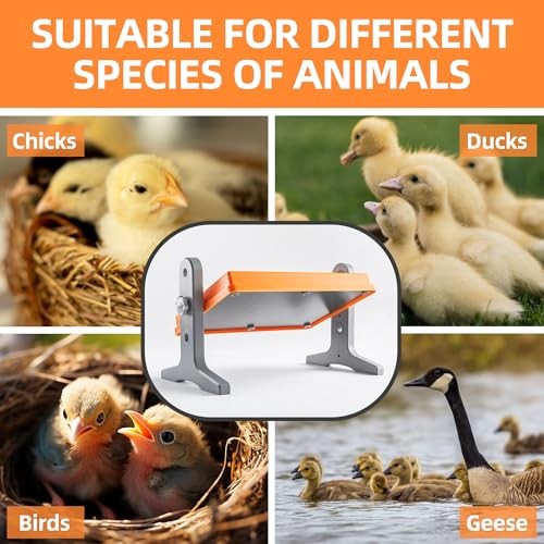 Chick Brooder Heater Plate – 12" x 8" Adjustable Height & Temperature Poultry