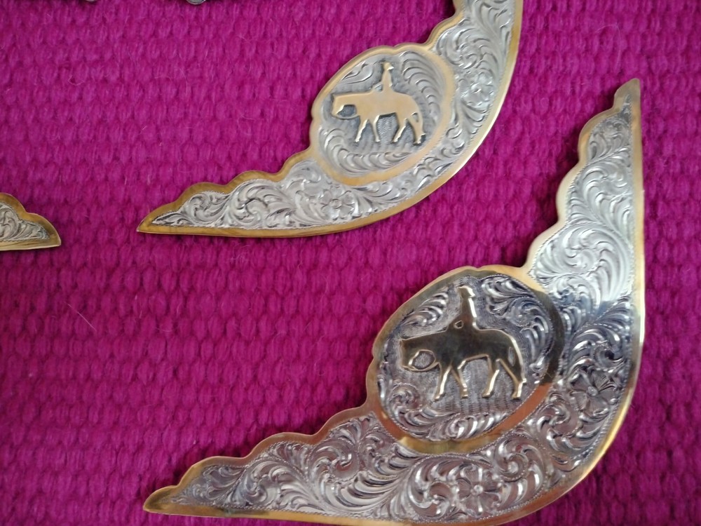 Western Saddle Silver Trim