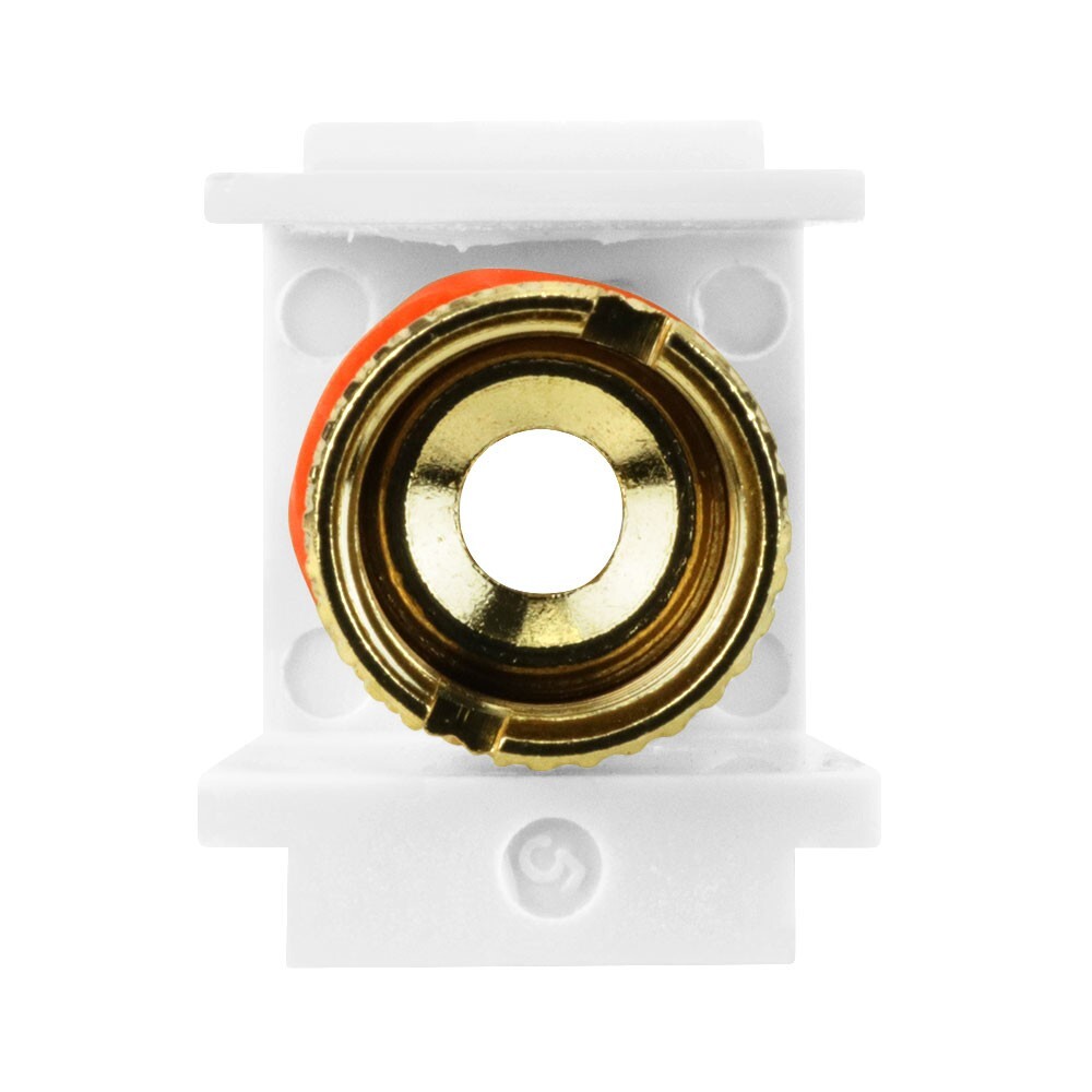 Construct Pro™ Gold-Plated Speaker Binding Post Insert (White, Red Band)