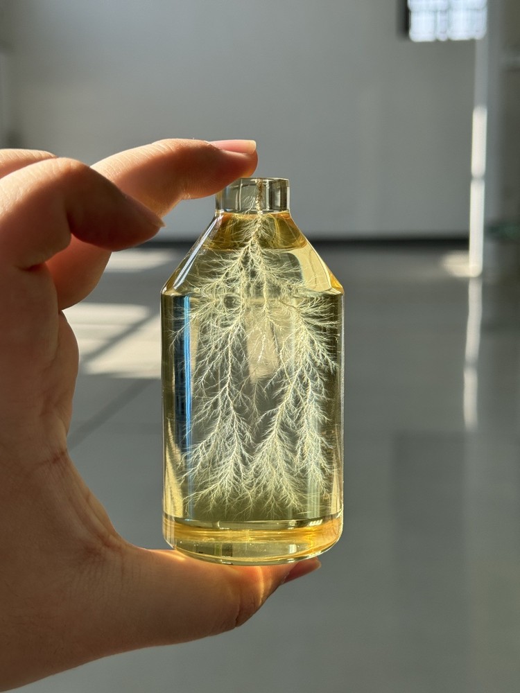 Lichtenberg Figure 2x3 Bottled Lightning