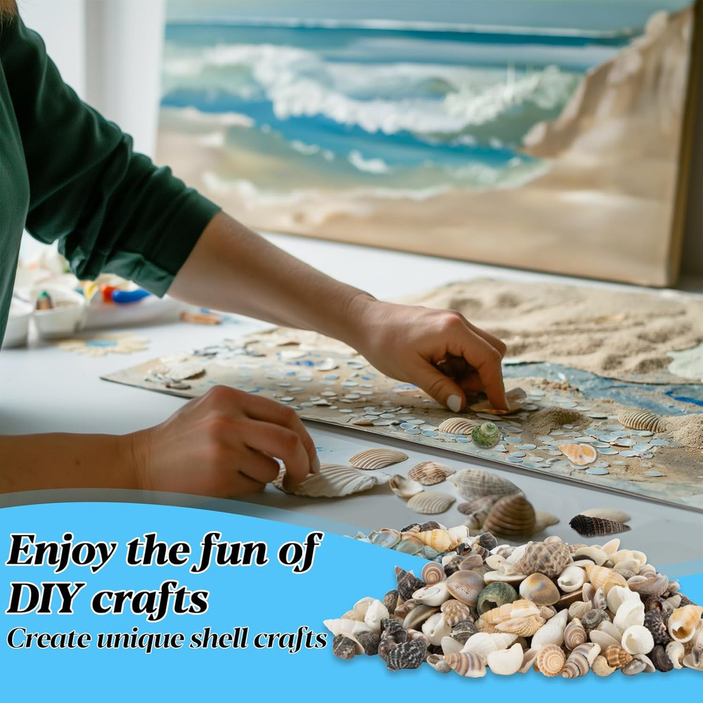 Tiny Seashells for Crafts - Small Sea Shells Mixed Ocean Beach Shells Bulk for H