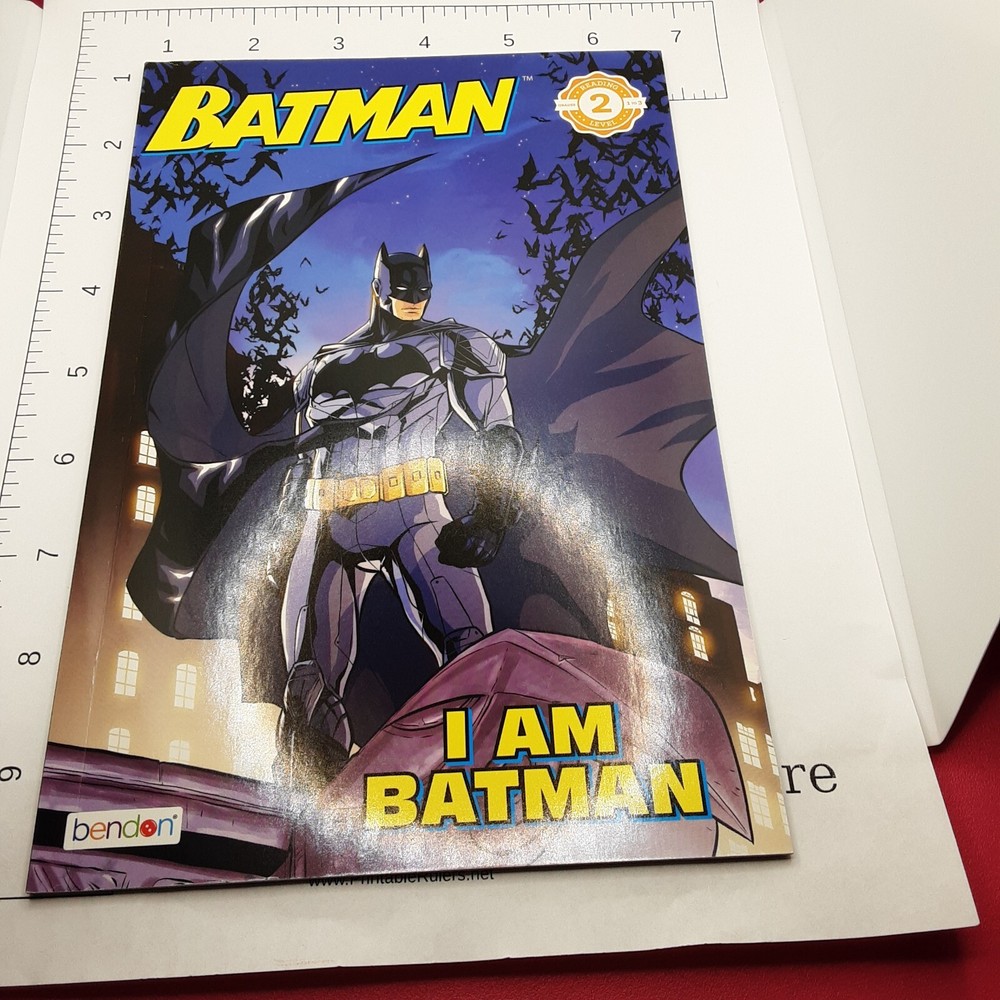 I am Batman children's book DC Comics