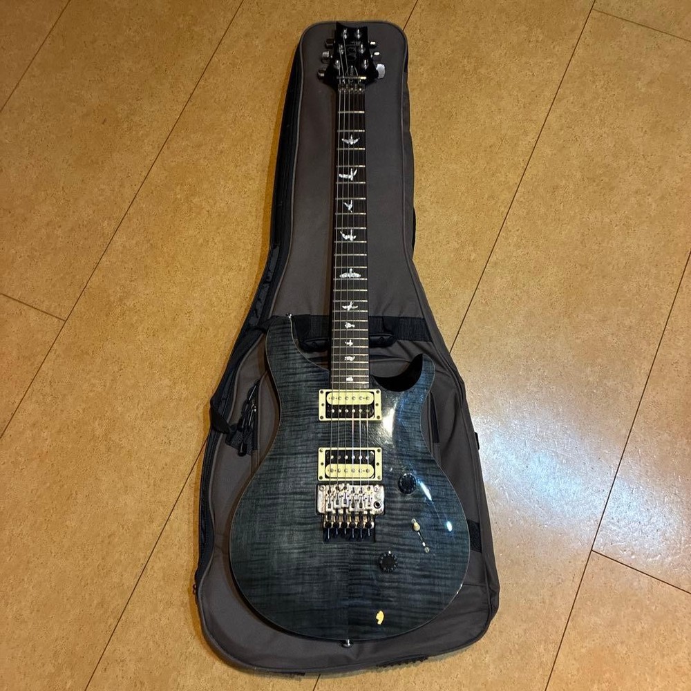 Paul Reed Smith / PRS SE Custom 24 Floyd