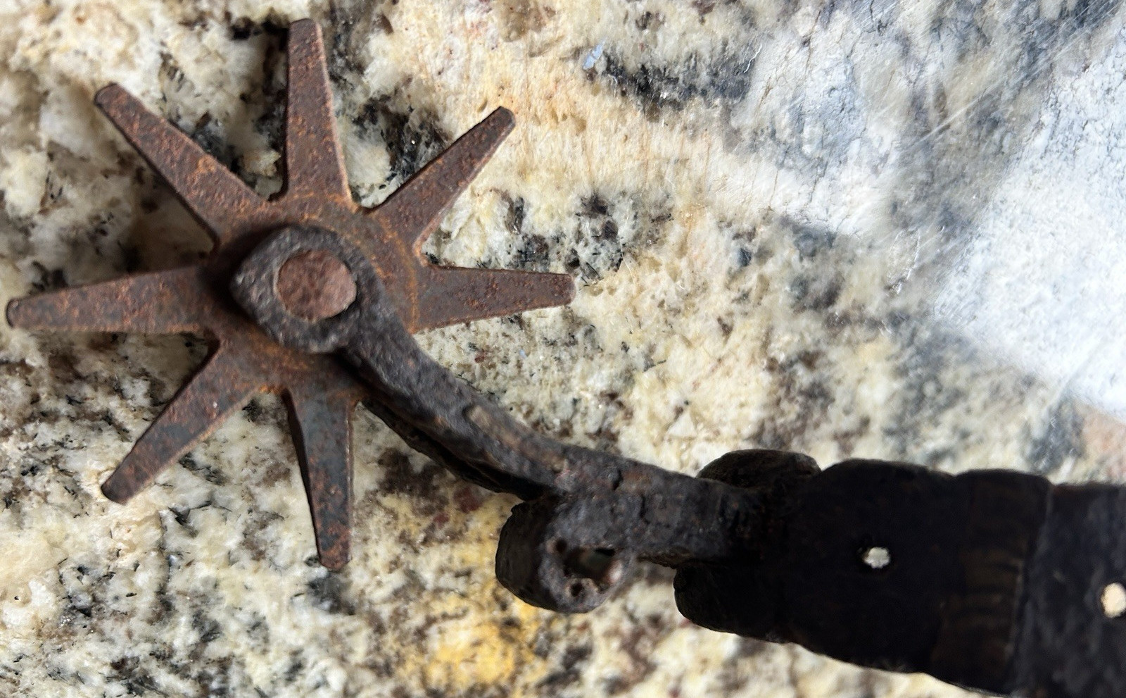 Western Type Spur with 8 Point Rowel