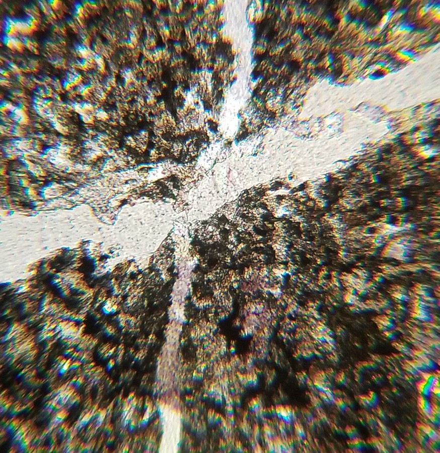 Thin-section Mount from CCSP Hole CY-4 Petrographic Microscope Slide CY-4-61.75