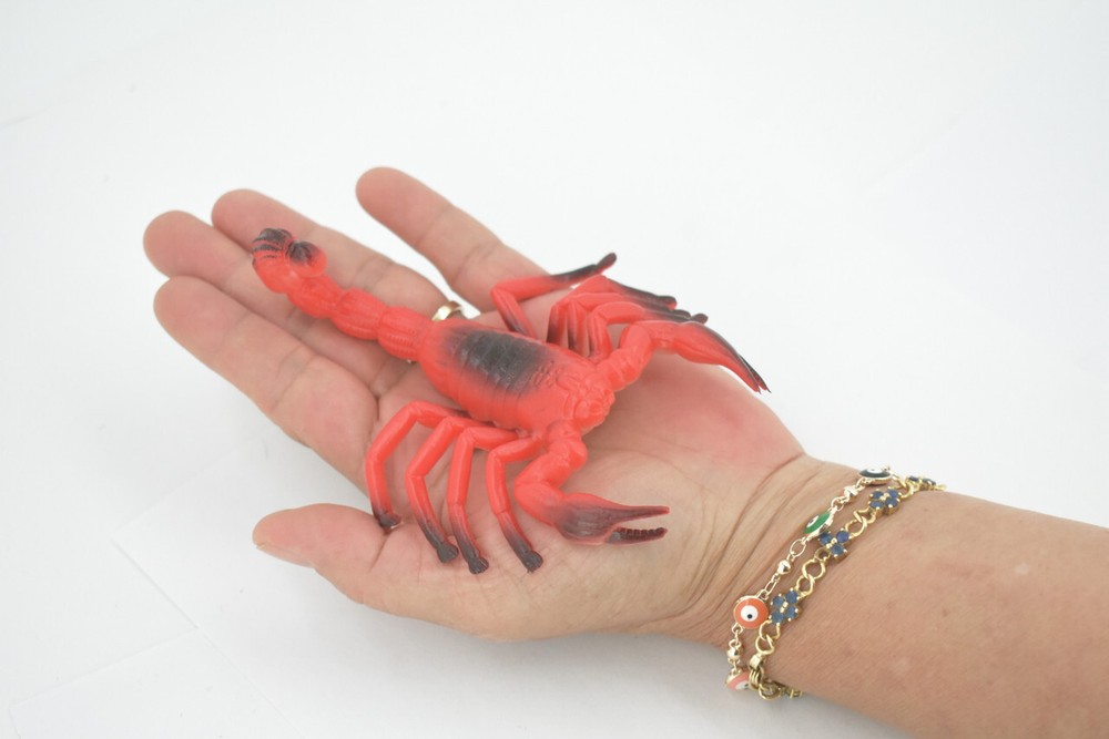 Scorpion, Red Black Big Solid Rubber Bug, Toy, Realistic Figure 5" ABC14 B263