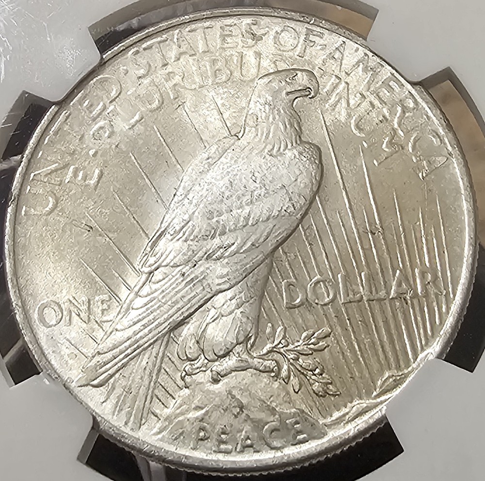 1924 Peace Dollar MS-66 NGC VIDEO