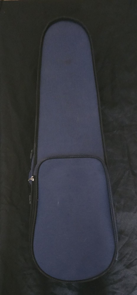 UNBRANDED 1/4 SIZED VIOLIN WITH CASE & BOW