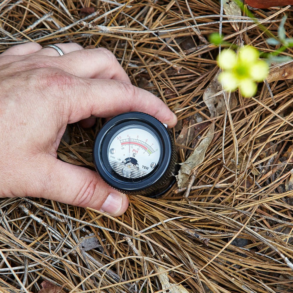 Kelway Soil pH and Moisture Meter