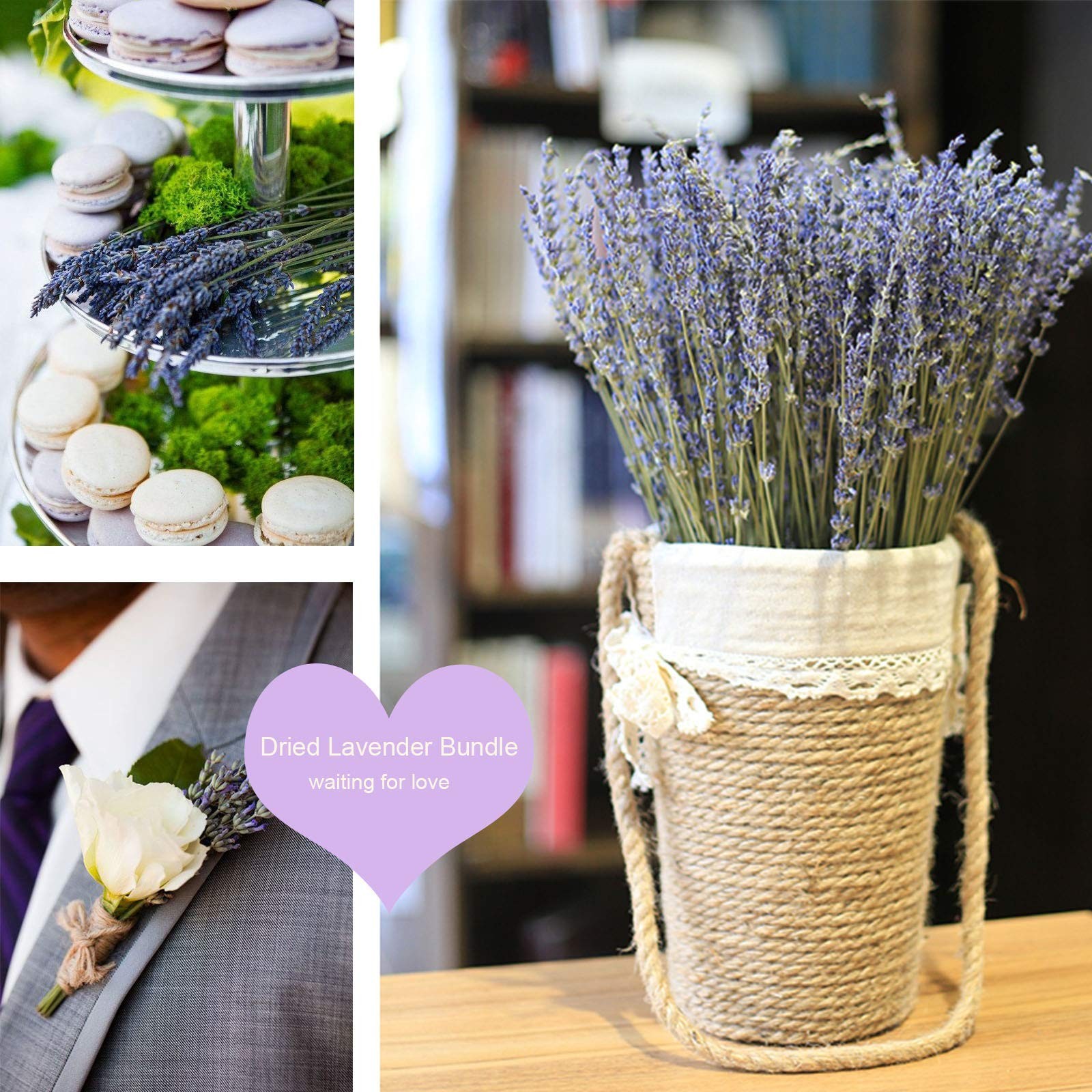 Dried Lavender Flowers Bundles 200 Stems Dry Lavender Bunch for Home 200+ stems