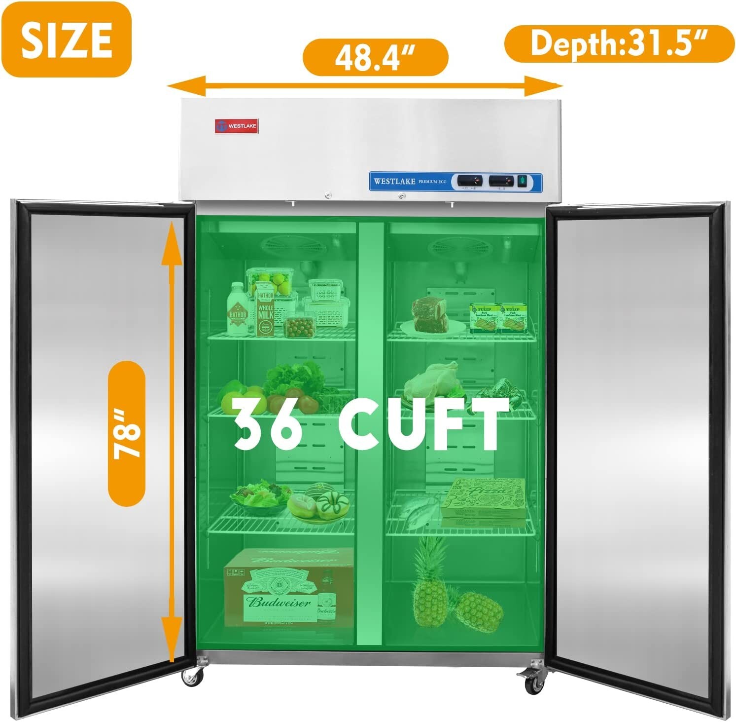 Commercial Reach In Freezer, WESTLAKE 48 Inch Commercial Freezer 2 Door 36 Cu.ft