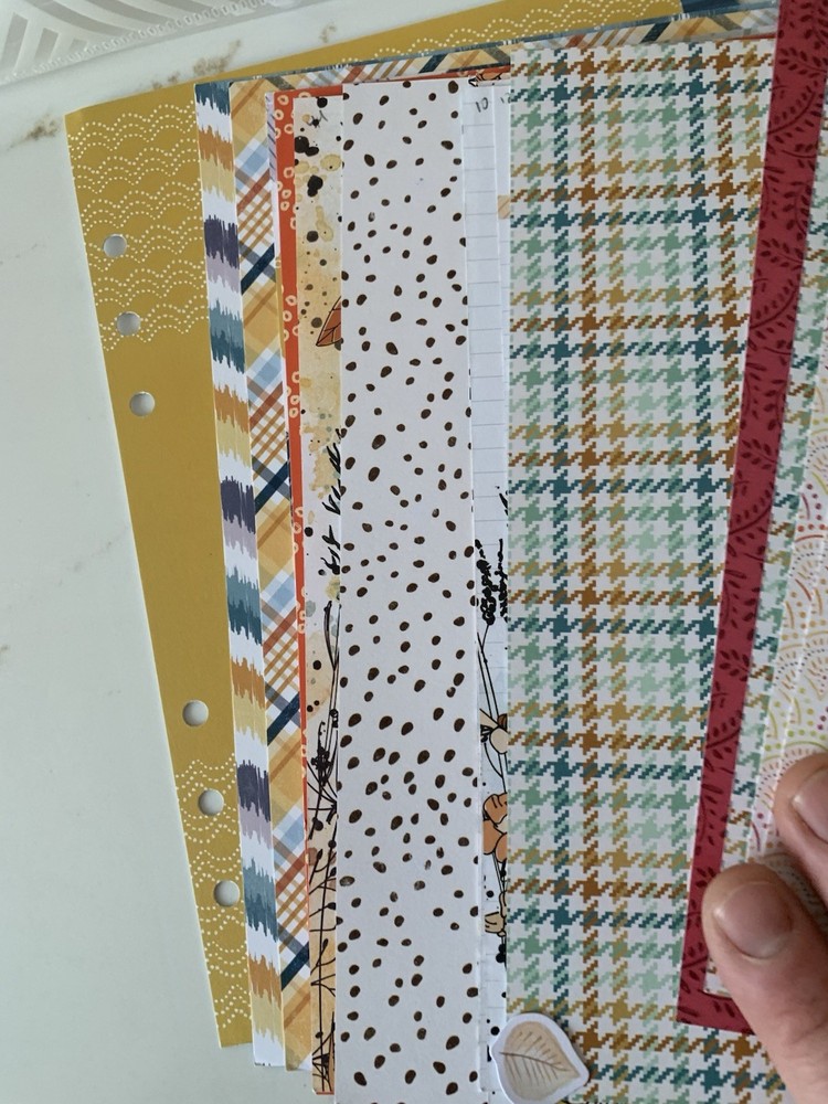 Cocoa Daisy Planner Scrapbook Accessories As Pictured Used