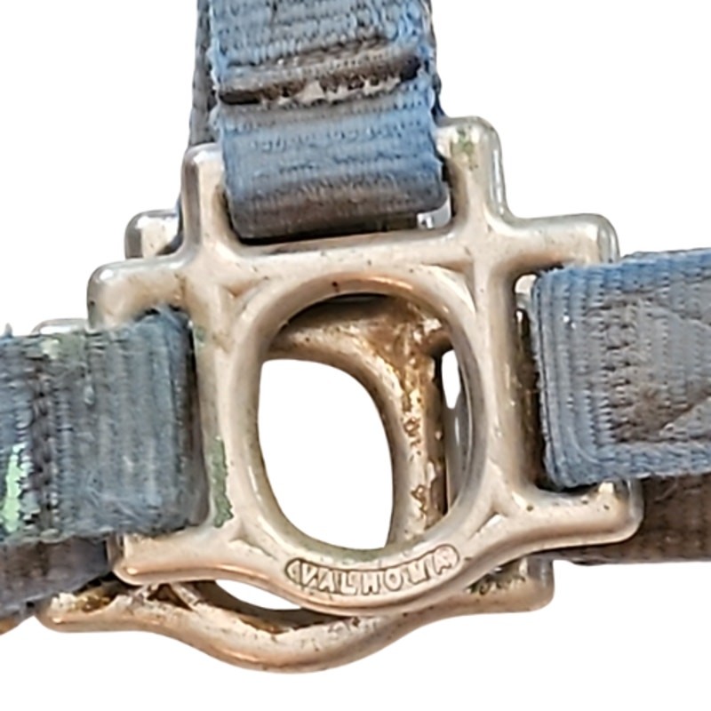 Valhoma Blue Horse Halter Used