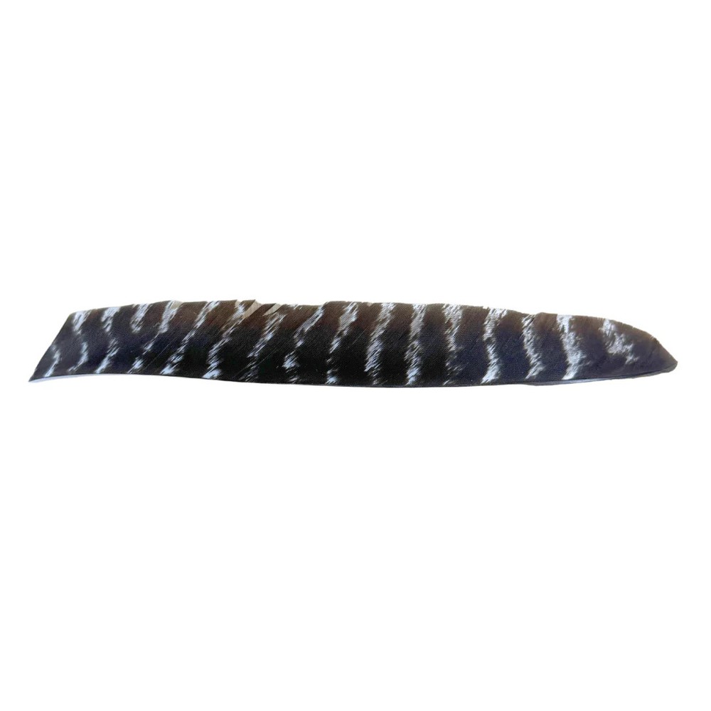 King Feathers - Full Length - Natural Barred
