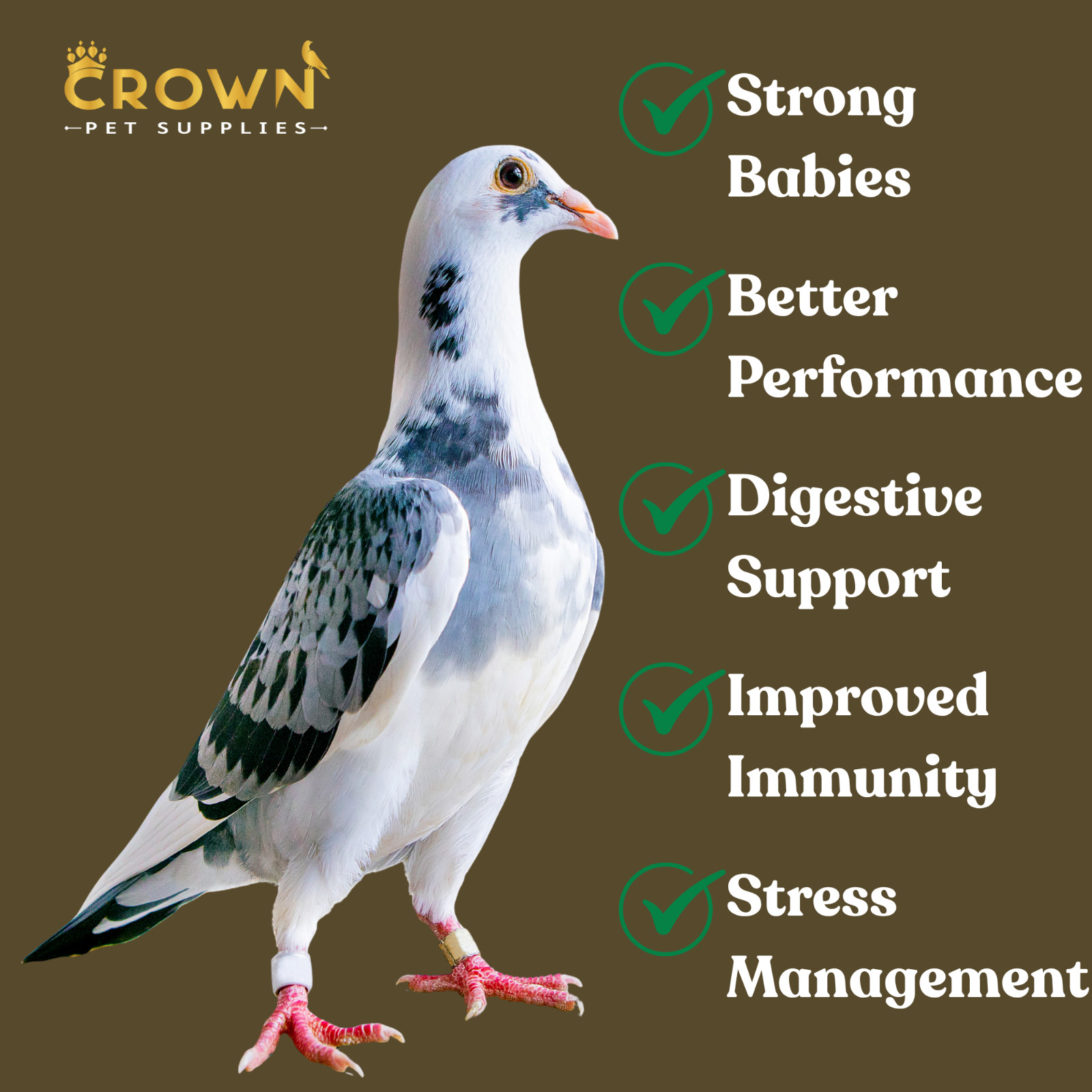 Treasure Supplement Pills, Fertility, Feather, Growth & Immunity For Pigeons